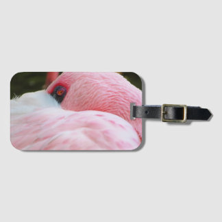 Etiqueta De Bagagem Flamingo
