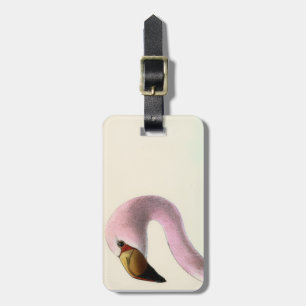 Etiqueta De Bagagem Flamingo Antigo