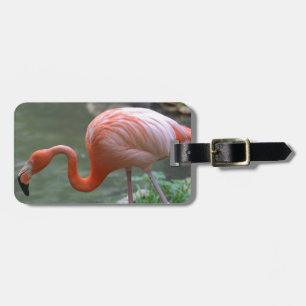 Etiqueta De Bagagem Flamingo delicado