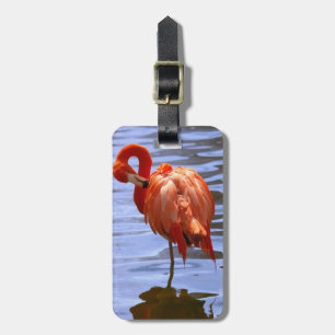 Etiqueta De Bagagem Flamingo em uma perna na água