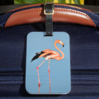 Flamingo Lake Walk | Aves