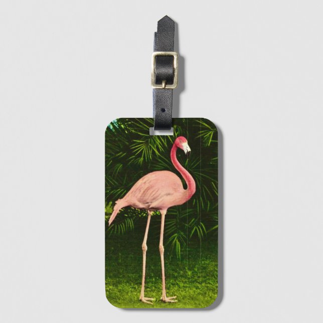 Etiqueta De Bagagem Flamingo Rosa Lindamente (Frente Vertical)