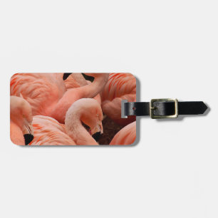 Etiqueta De Bagagem flamingos cor-de-rosa