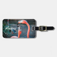 Flamingos rosa Fotografias Besties Script Na moda 