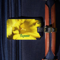 Flor Amarelo Daffodil Fechar Personalizado