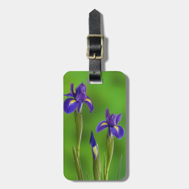 Etiqueta De Bagagem Flores de Íris (Frente Vertical)