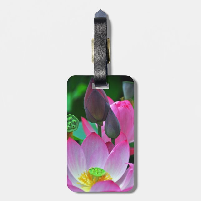 Etiqueta De Bagagem Flores de Lótus Rosa (Traseira Vertical)