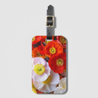 Etiqueta De Bagagem Flores de Papoula Brilhantes