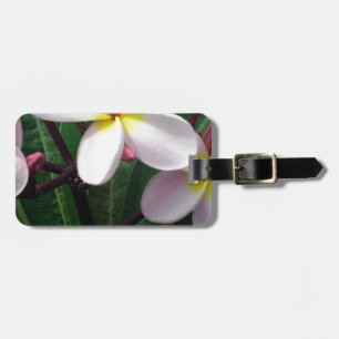 Etiqueta De Bagagem Flores de Plumeria Havaiana