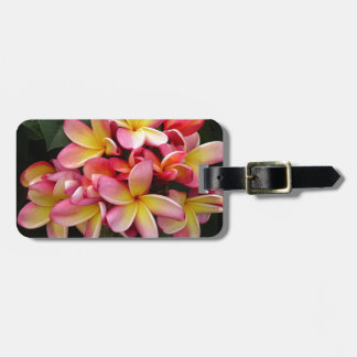 Etiqueta De Bagagem Flores Tropicais de Plumeria Rosa e Amarelo