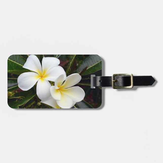 Etiqueta De Bagagem Flores Tropicais Plumeria (Frente Horizontal)