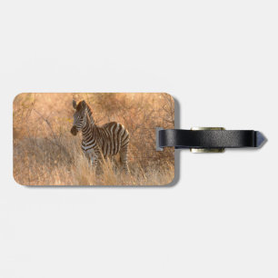Etiqueta De Bagagem Foco de Zebra à luz da manhã