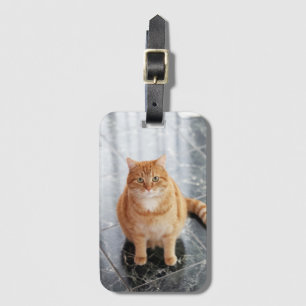 Etiqueta De Bagagem Foto de animal de estimação personalizada