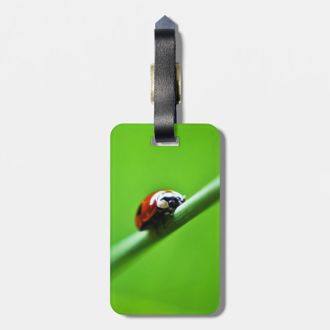 Etiqueta De Bagagem Foto de Ladybug (Traseira Vertical)