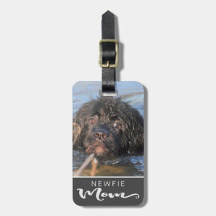 Etiqueta De Bagagem Foto de Newfoundland Newfie Mom Dog