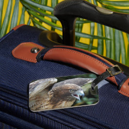 Etiqueta De Bagagem Foto do Raptor Hawk de cauda vermelha