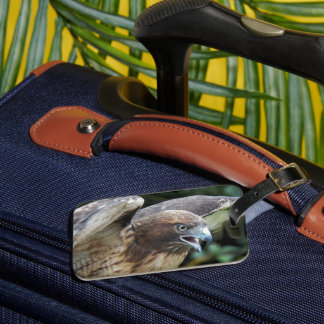 Etiqueta De Bagagem Foto do Raptor Hawk de cauda vermelha