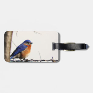 Etiqueta De Bagagem Foto oriental do Bluebird