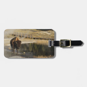 Etiqueta De Bagagem Foto personalizada de Bison Yellowstone Wildlife