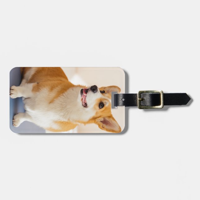 Etiqueta De Bagagem Foto personalizada e animal personalizado (Frente Horizontal)
