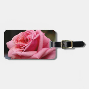 Etiqueta De Bagagem Fotografia Bonito Floral Rosa Rosa I