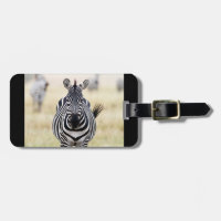 Fotografia da vida selvagem zebra África Animal Sa
