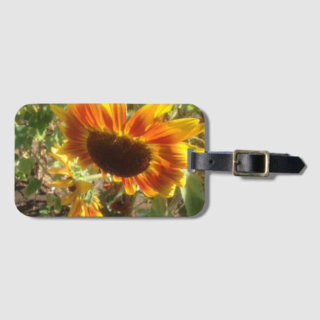 Etiqueta De Bagagem Fotografia de girassol amarelo e laranja (Frente Horizontal)