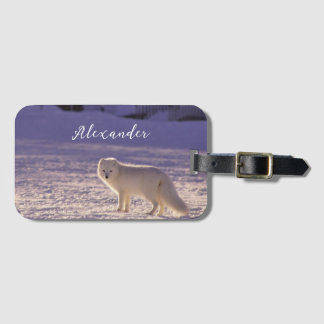 Etiqueta De Bagagem Fotografia de inverno com Raposa Árctica Branca Cu