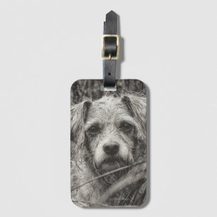 Etiqueta De Bagagem Fotografia do Retrato Branco e Preto-Cachorro