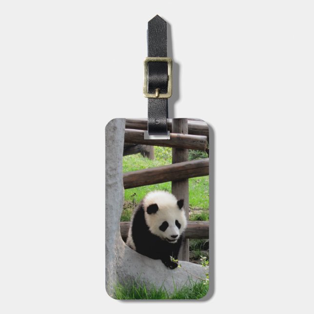 Etiqueta De Bagagem Fotografia Panda - Personalizável (Frente Vertical)