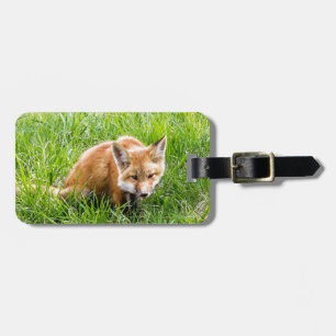 Etiqueta De Bagagem Fox Cub