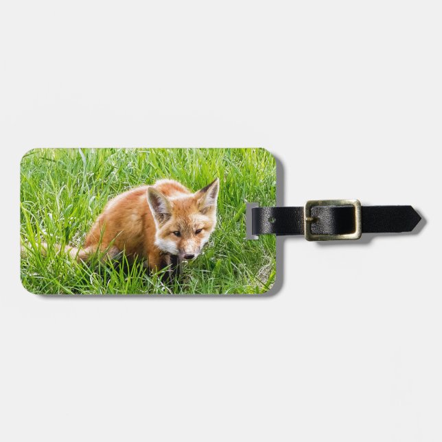 Etiqueta De Bagagem Fox Cub (Frente Horizontal)