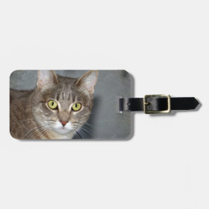 Etiqueta De Bagagem Fred