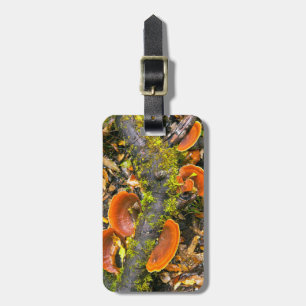 Etiqueta De Bagagem Fungos Crescendo Em Ramos, O Knysna-Amatole