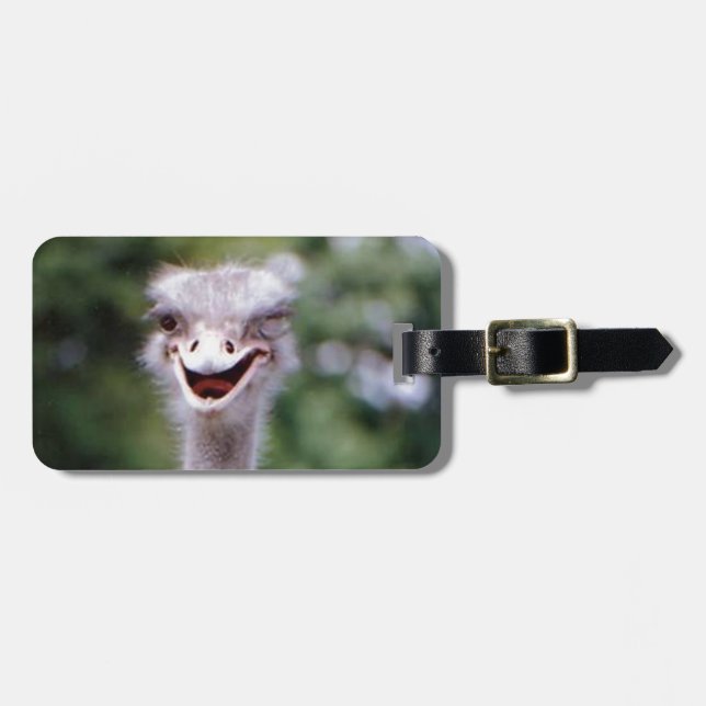 Etiqueta De Bagagem Funny Ostrich (Frente Horizontal)
