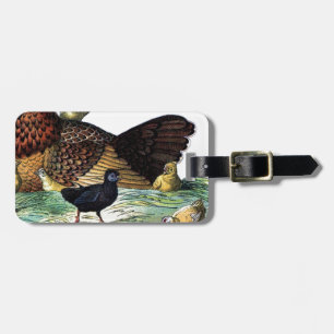 Etiqueta De Bagagem Galinhas Vintage Animal