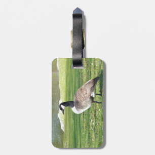 Etiqueta De Bagagem Ganso no beira-rio, animais dos animais selvagens,