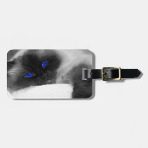 Etiqueta De Bagagem gatinho bonito