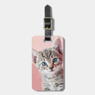 Etiqueta De Bagagem Gatinho bonito com olhos azuis