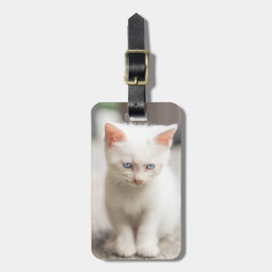 Etiqueta De Bagagem Gatinho branco