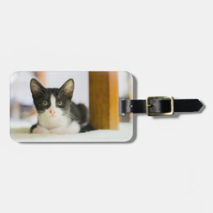 Etiqueta De Bagagem Gatinho Branco E Preto