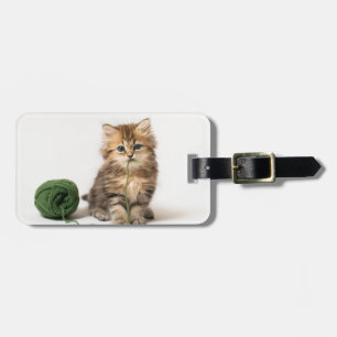 Etiqueta De Bagagem Gatinho com fio verde