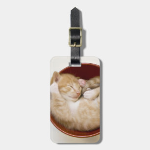 Etiqueta De Bagagem Gatinho dormindo