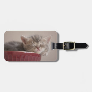 Etiqueta De Bagagem Gatinho que dorme em uma bacia