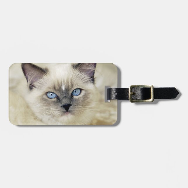 Etiqueta De Bagagem Gatinho Ragdoll (Frente Horizontal)