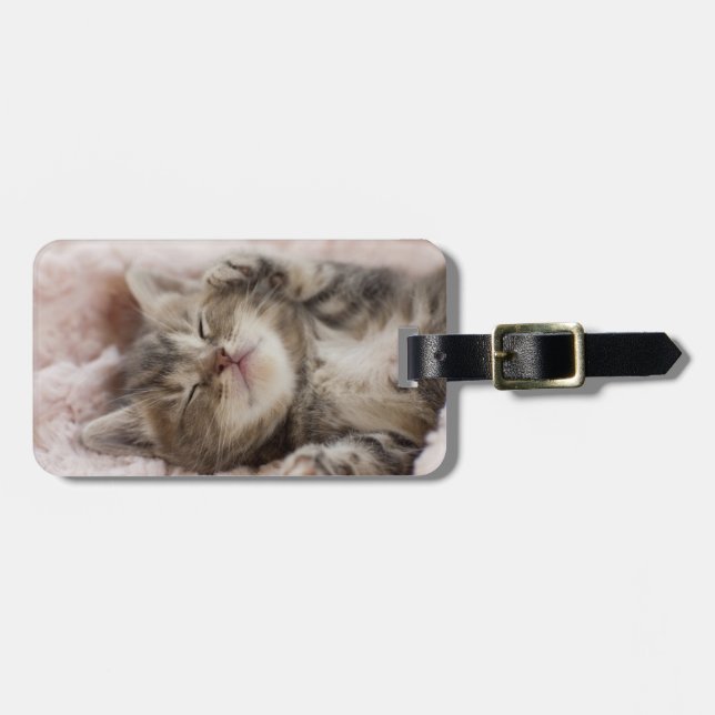 Etiqueta De Bagagem Gatinho sonolento (Frente Horizontal)