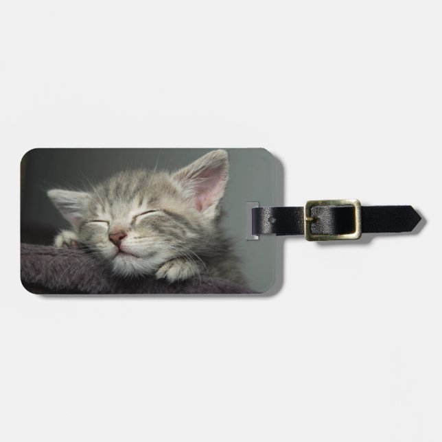 Etiqueta De Bagagem Gatinho sonolento (Frente Horizontal)