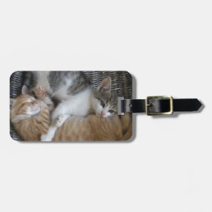 Etiqueta De Bagagem Gatinhos do afago
