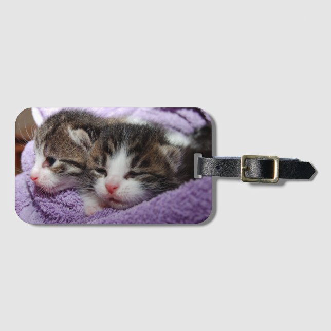 Etiqueta De Bagagem Gatinhos doces sonolentos (Frente Horizontal)
