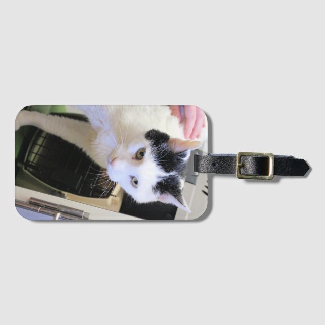 Etiqueta De Bagagem Gato   (Frente Horizontal)